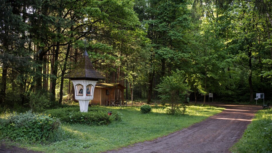 Wanderung Waldlehrpfad Zeltweg - Touren-Impression #2.3 | © ANITA_FOESSL
