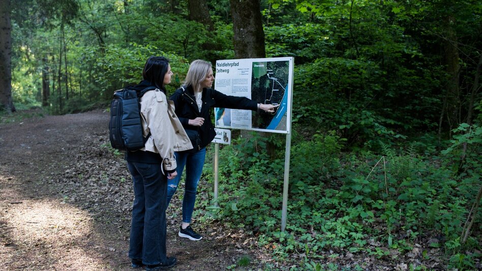 Wanderung Waldlehrpfad Zeltweg - Touren-Impression #2.1 | © ANITA_FOESSL