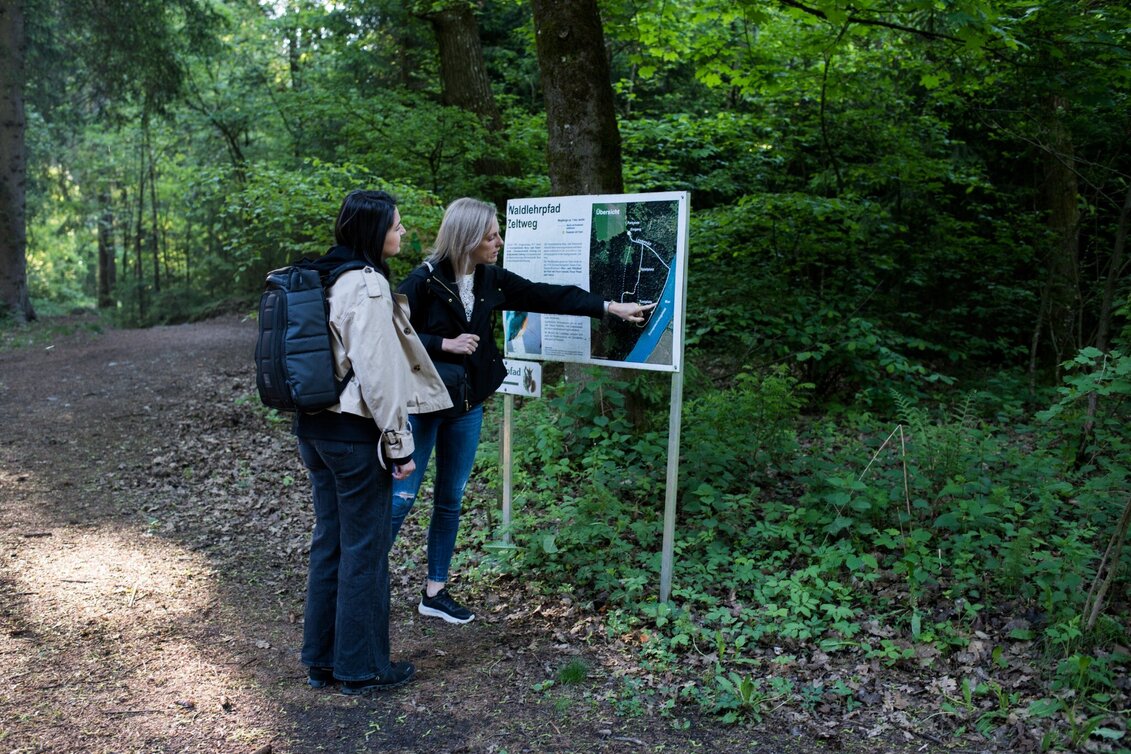 Wanderung Waldlehrpfad Zeltweg - Touren-Impression #1 | © ANITA_FOESSL