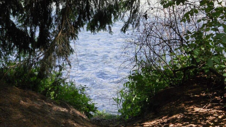 Wanderung Waldlehrpfad Zeltweg - Touren-Impression #2.5 | © Anita Fössl