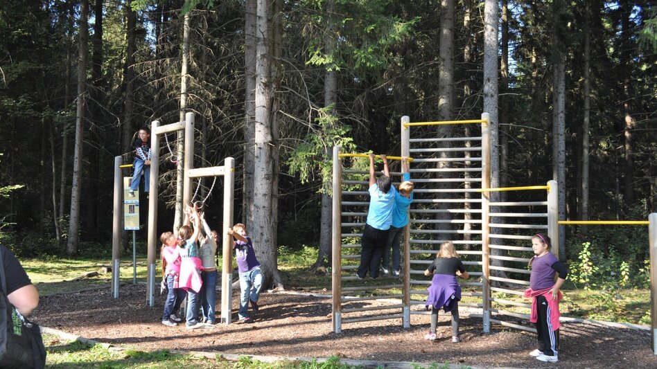 Wanderung Waldlehrpfad Zeltweg - Touren-Impression #2.6 | © Anita Fössl