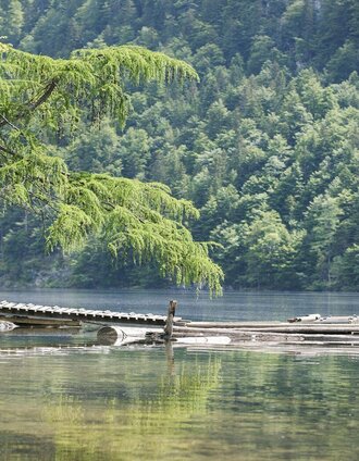 Toplitzsee -  Idylle pur | Schifffahrt Grundlsee/Eisenberger | © Schifffahrt Grundlsee/Eisenberger