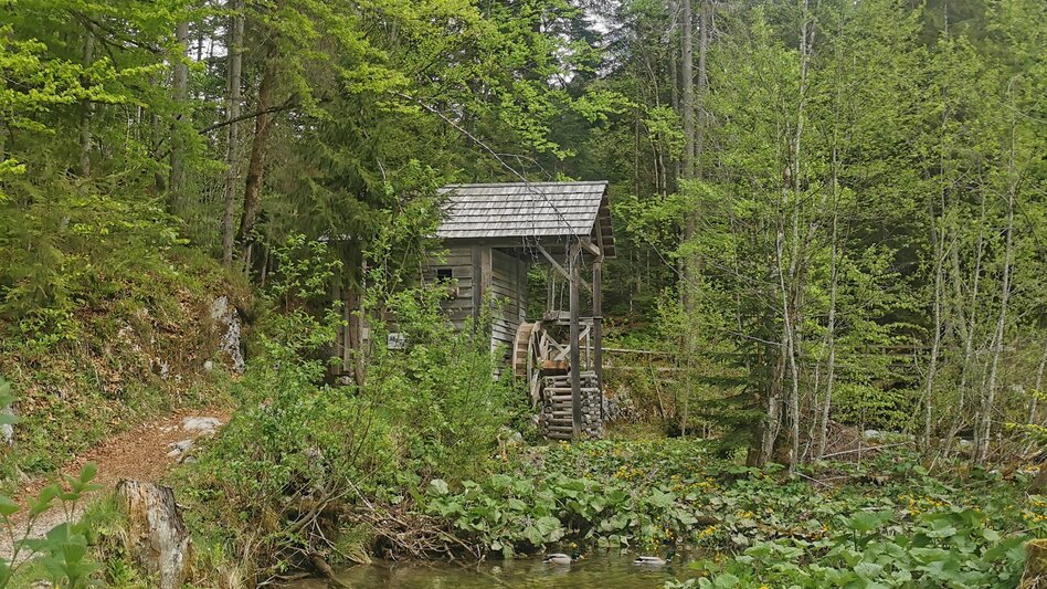 Wanderung WasserPilgern - zwischen Fall und Quelle - Touren-Impression #2.2 | © Tourismusverband Ausseerland Salzkammergut