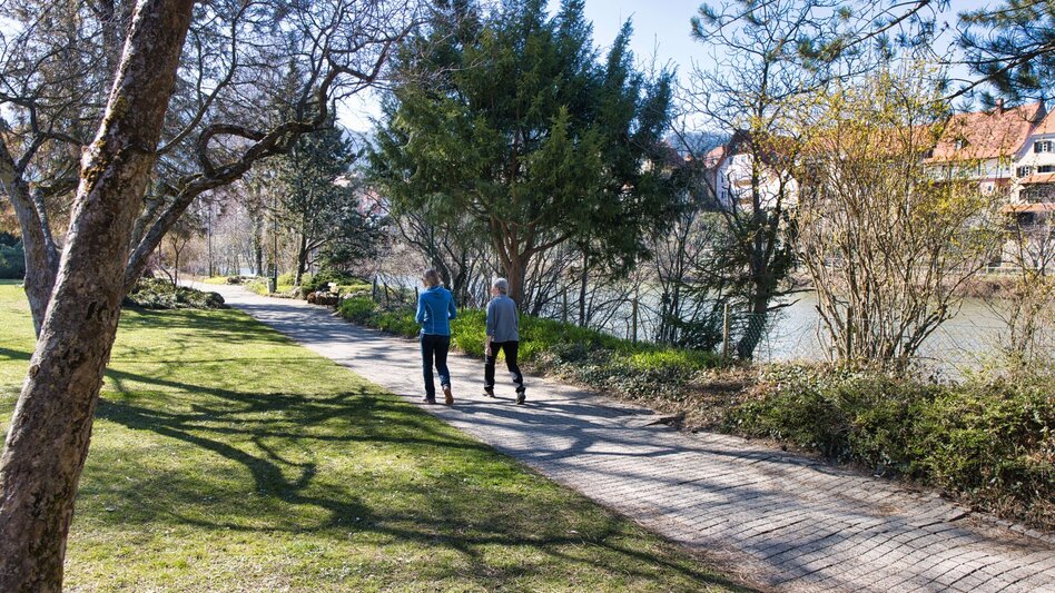 Hiking route Rundweg 1 Volkshauspark - Frohnleiten bewegt - Touren-Impression #2.5 | © Weges OG