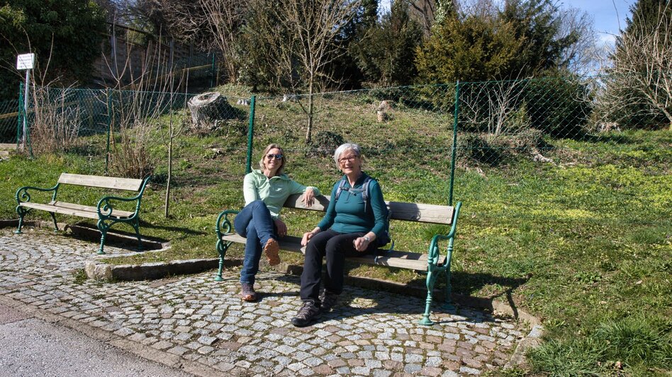 Hiking route Rundweg 2 Grünanger - Frohnleiten bewegt - Touren-Impression #2.1 | © Weges OG