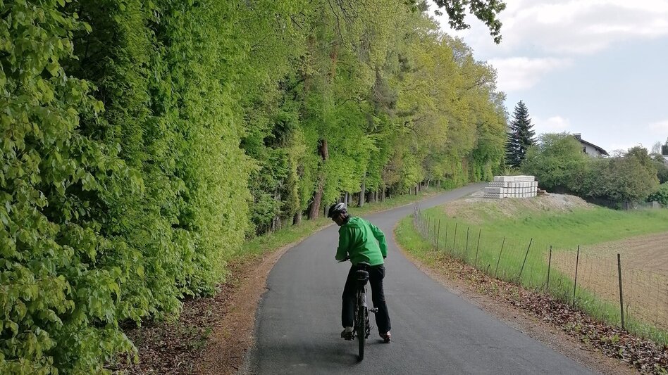 Bike Riding Mostwärtsradweg R49 - Touren-Impression #2.2