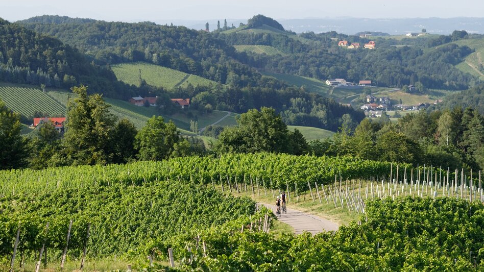 Road Cycling Weinstraßen Jubiläumstour - Touren-Impression #2.2