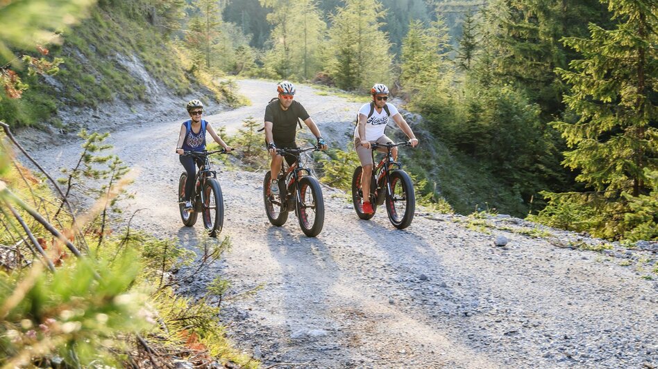 Mountain Biking Erlauf - Walster - Runde - Touren-Impression #2.1 | © TV Hochsteiermark | Fred Lindmoser