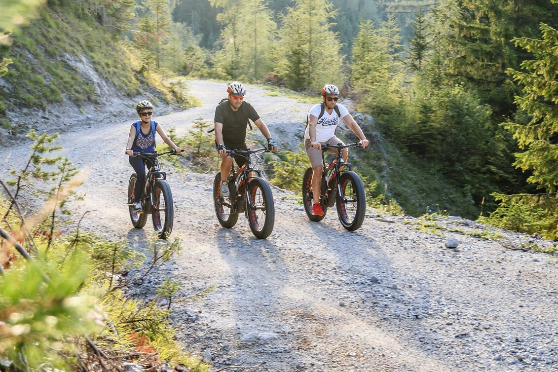 Mountain Biking Erlauf - Walster - Runde - Touren-Impression #1 | © TV Hochsteiermark | Fred Lindmoser