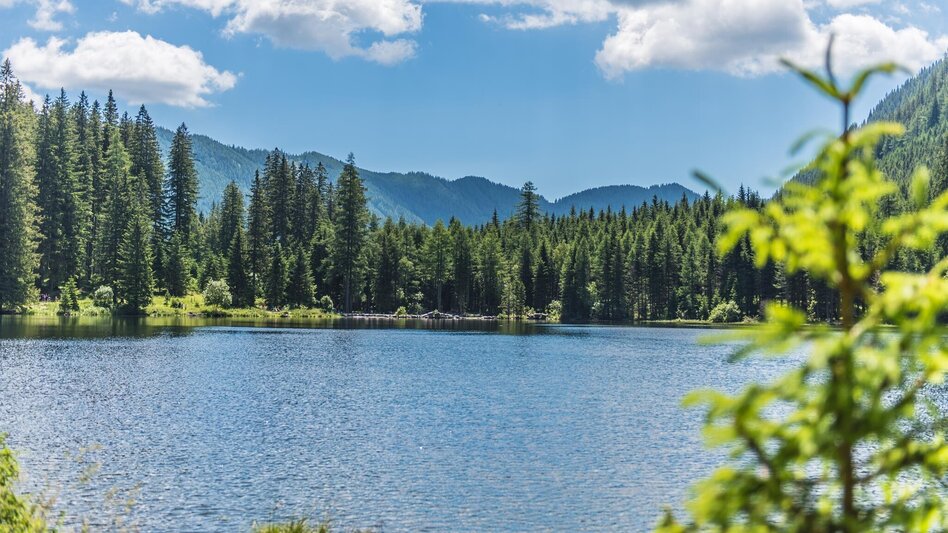 Wanderung Genusswanderung zum Ingeringsee - Touren-Impression #2.3 | © Anita Fössl