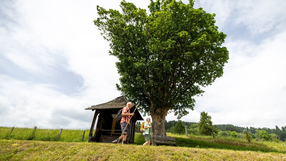 Pilgrim Walk Mariazeller Gründerweg section, St. Lambrecht - Scheifling - Touren-Impression #2.6 | © Tourismusverband Murau