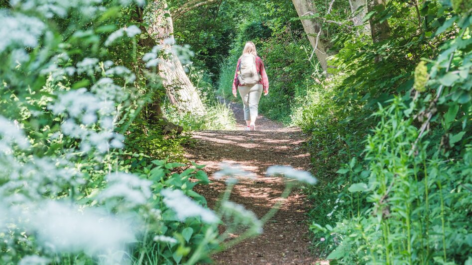 Hiking route Alpenbockweg - Touren-Impression #2.1