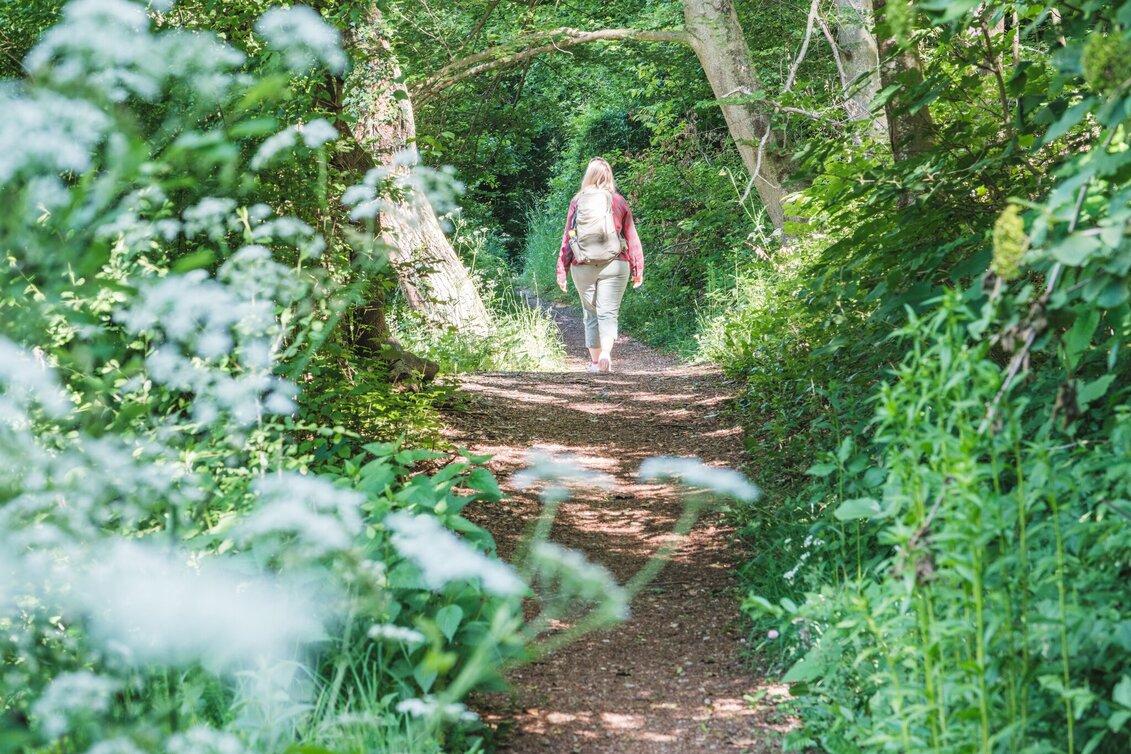 Hiking route Alpenbockweg - Touren-Impression #1