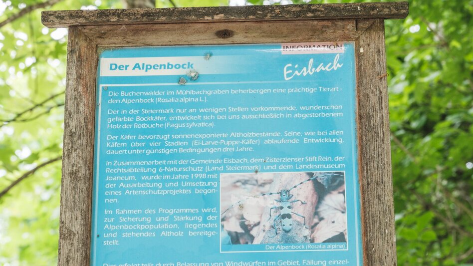 Hiking route Alpenbockweg - Touren-Impression #2.2