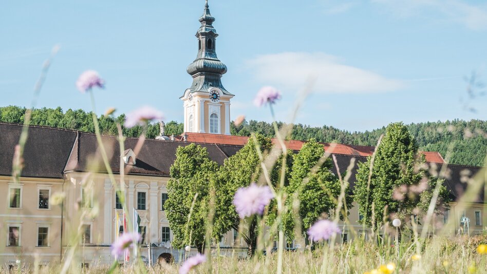 Hiking route Alpenbockweg - Touren-Impression #2.4