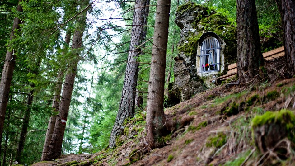 Wanderung Krakauer Dorfrundweg Trilogie: Teil 2 - Touren-Impression #2.2 | © Holzwelt Murau