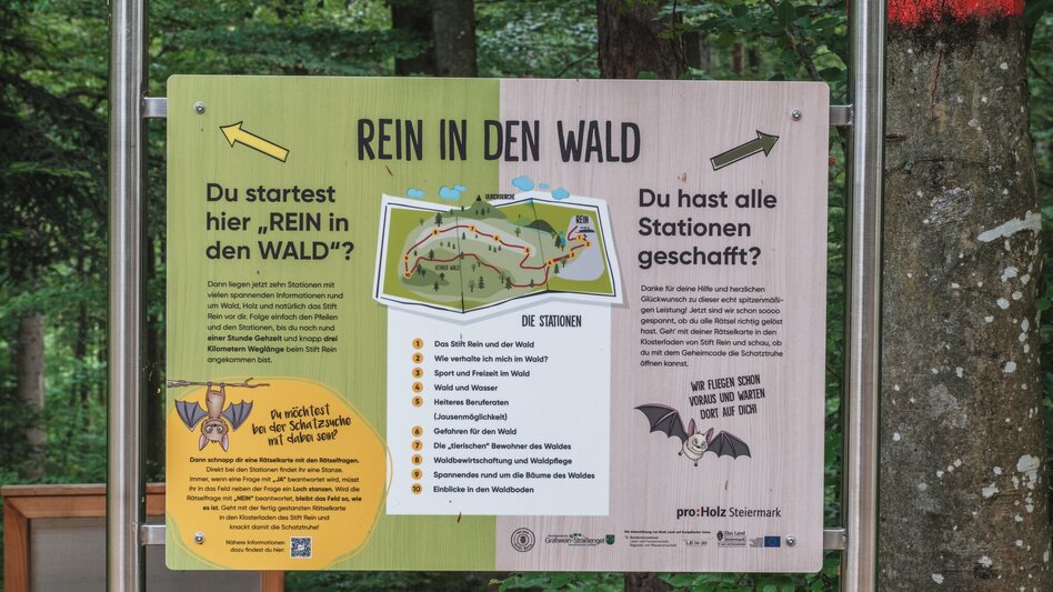 Wanderung Rein in den Wald - ein Erlebnispfad - Touren-Impression #2.1