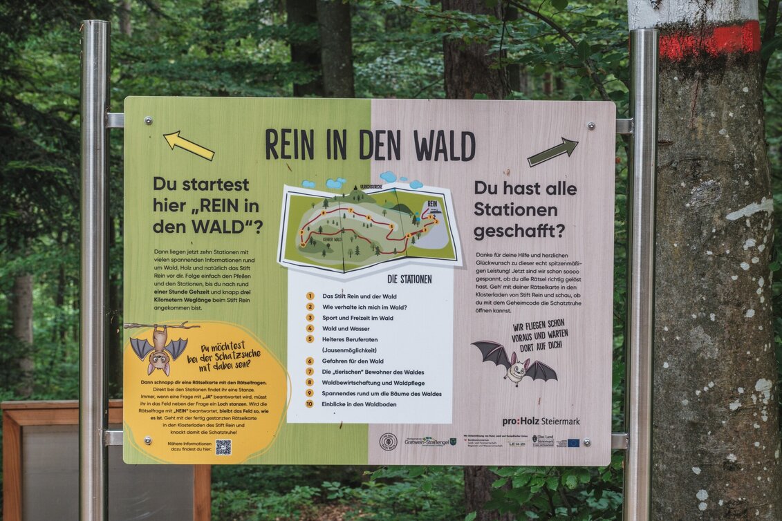 Wanderung Rein in den Wald - ein Erlebnispfad - Touren-Impression #1