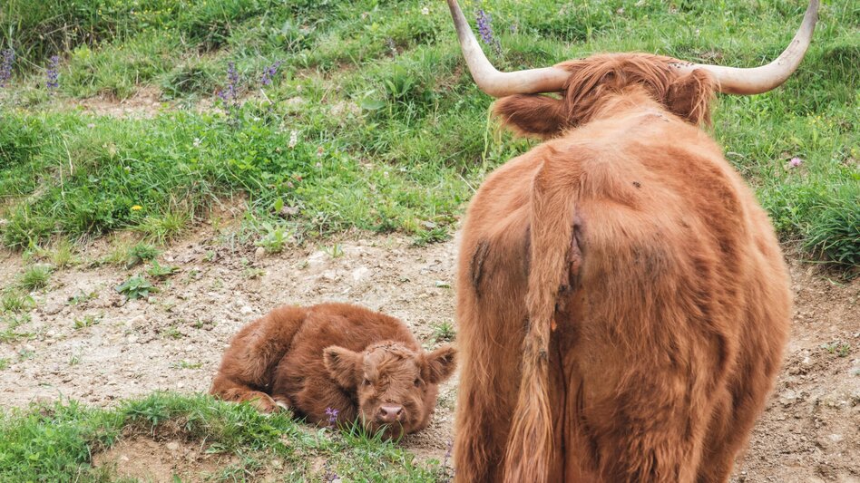 Wanderung Reiner Kultur- und Naturweg - Touren-Impression #2.3