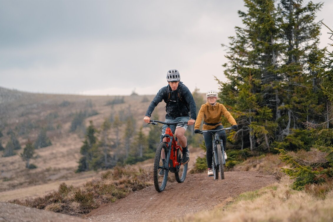 Mountain Biking Wexl Trails Summit tour over the Schwaigen - Touren-Impression #1 | © Verein Tourismusentwicklung Steirischer Wechsel