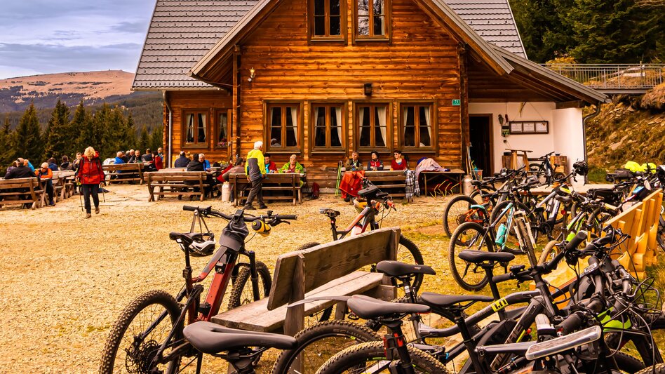 Mountain Biking Wexl Trails Summit tour over the Schwaigen - Touren-Impression #2.10