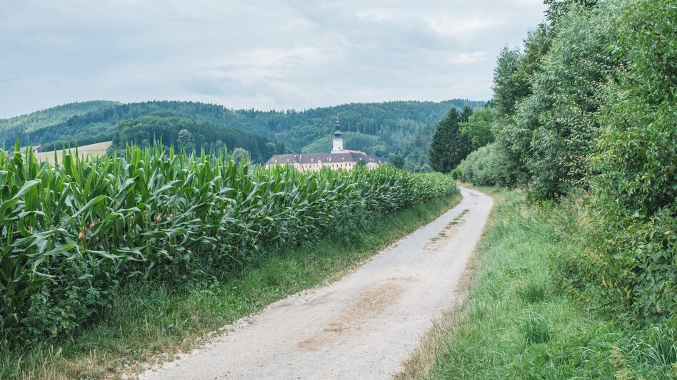 Hiking route Kinderrechteweg - Touren-Impression #2.4
