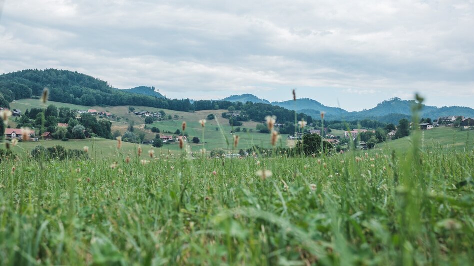 Hiking route Zisterzienserweg - Touren-Impression #2.1
