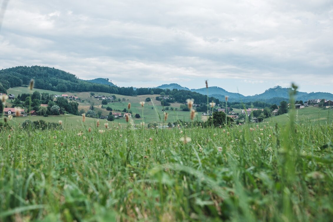 Hiking route Zisterzienserweg - Touren-Impression #1