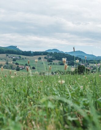 Janine Wenzel, Region Graz