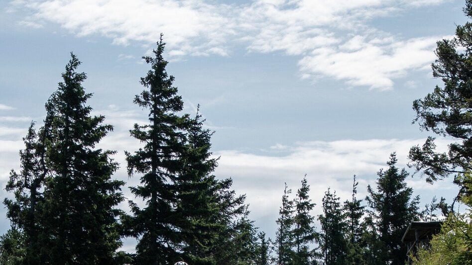 Mountain Biking Achter von Schöcklkreuz bis Johann Waller Hütte - MTB Tour - Touren-Impression #2.11 | © Region Graz