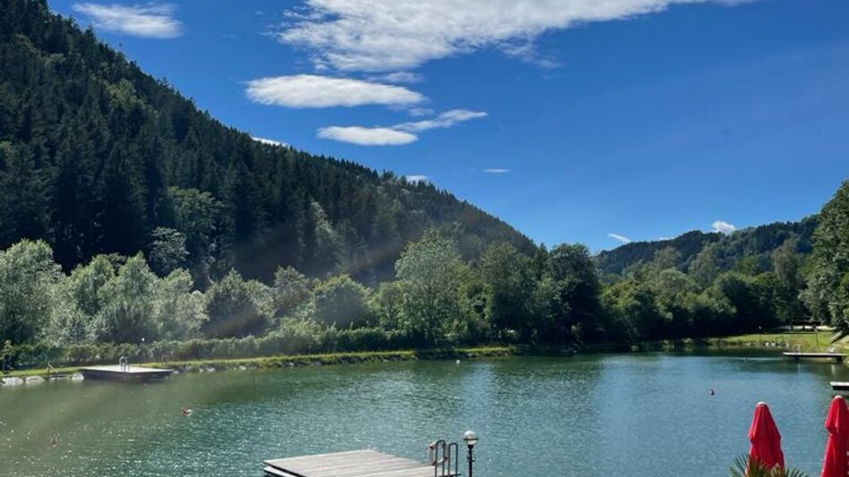 Mountain Biking Hochwechsel tour from Mönichwald - Touren-Impression #2.4 | © Tourismusverband Oststeiermark