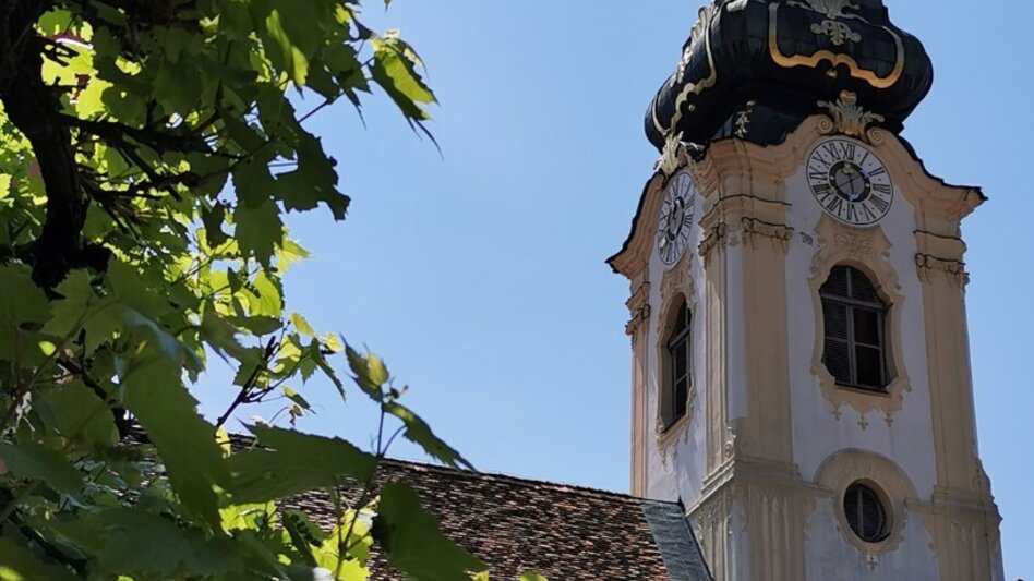 Road Cycling Hartberg Riegersburg round trip - Touren-Impression #2.5 | © TV Oststeiermark