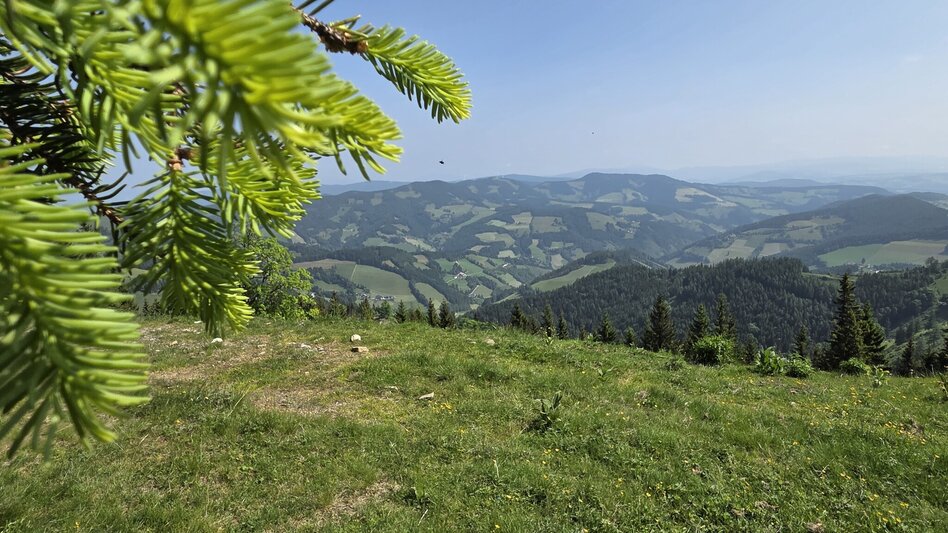 Wanderung Streckenwanderung Sommeralm-Teichalm - Touren-Impression #2.3 | © Tourismusverband Oststeiermark