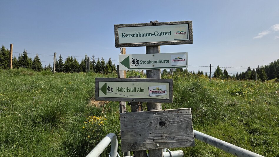 Wanderung Streckenwanderung Sommeralm-Teichalm - Touren-Impression #2.4 | © Tourismusverband Oststeiermark