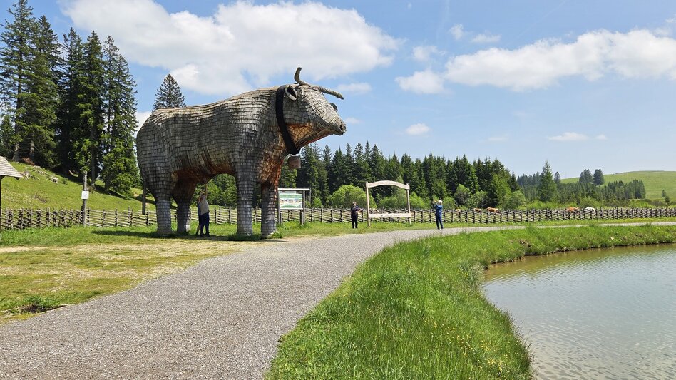 Wanderung Streckenwanderung Sommeralm-Teichalm - Touren-Impression #2.6 | © Tourismusverband Oststeiermark