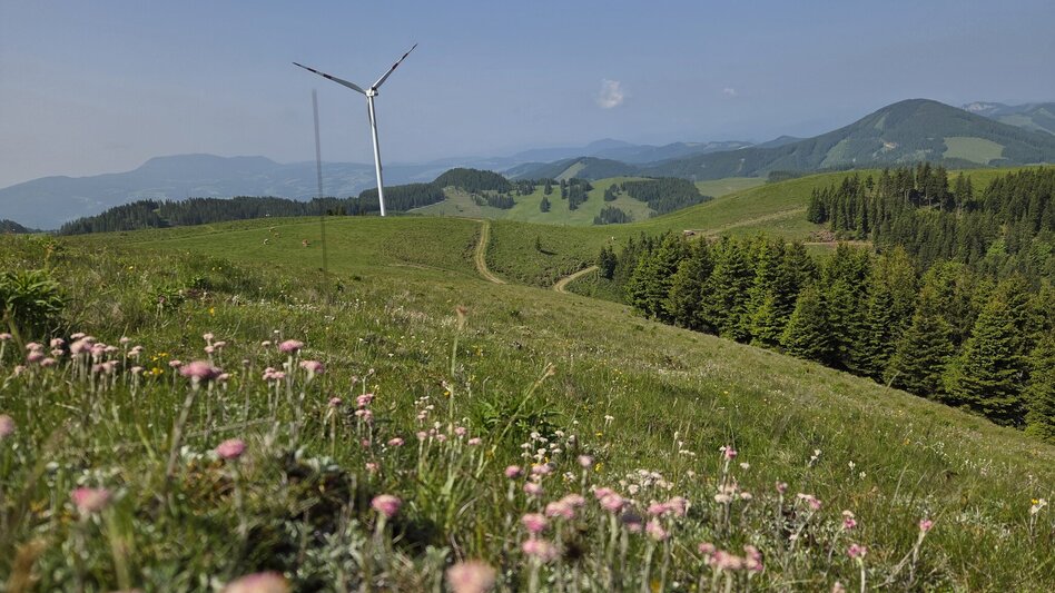 Wanderung Streckenwanderung Sommeralm-Teichalm - Touren-Impression #2.7 | © Tourismusverband Oststeiermark