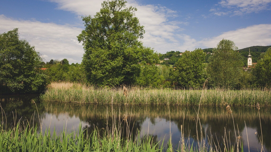 Bike Riding Tour of Styria, Hartberg - Touren-Impression #2.4 | © Tourismus Oststeiermark