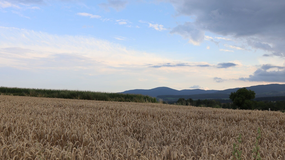 Bike Riding Tour of Styria, Hartberg - Touren-Impression #2.5 | © Tourismus Oststeiermark