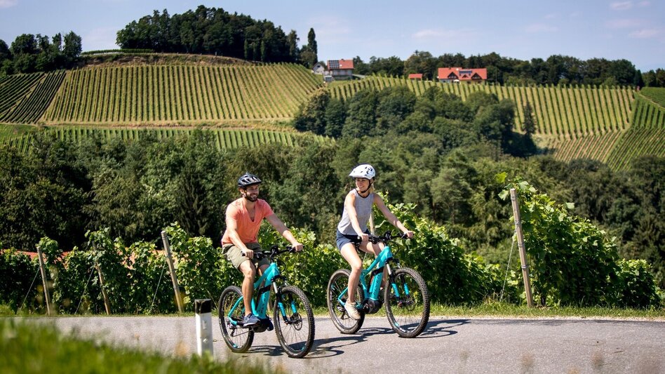 Bike Riding Weinstraßenausfahrt - Panoramaradweg-Südsteirische Weinstraße - Touren-Impression #2.1 | © Südsteiermark