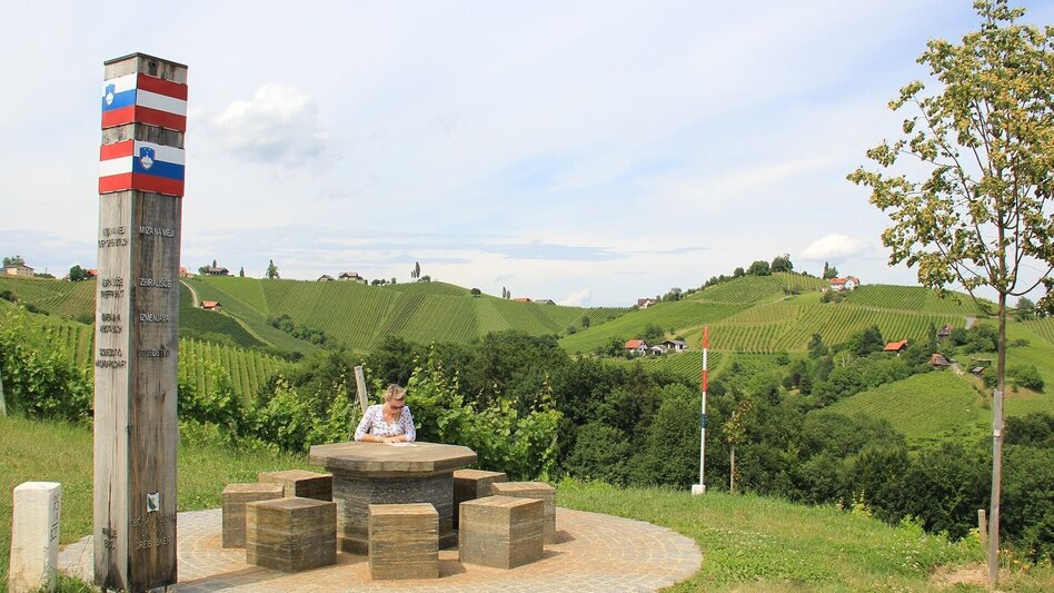 Bike Riding Weinstraßenausfahrt - Panoramaradweg-Südsteirische Weinstraße - Touren-Impression #2.3 | © TV Die Südsteirische Weinstraße