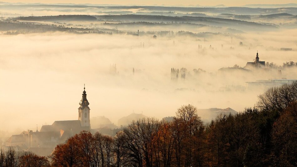 Bike Riding From the Rome of Eastern Styria to the realm of the Hirschbirne pear - Touren-Impression #2.4 | © Bernhard Bergmann