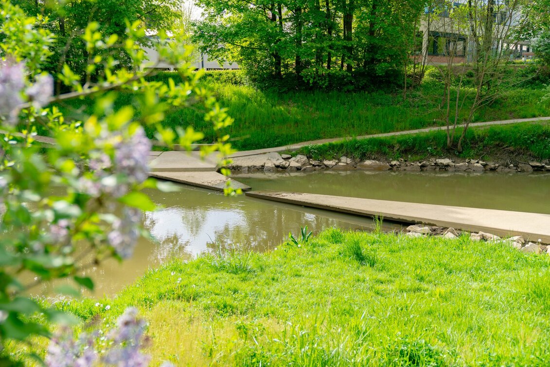 City Walking Raab Riverside Walk - Touren-Impression #1 | © Stadtgemeinde Feldbach