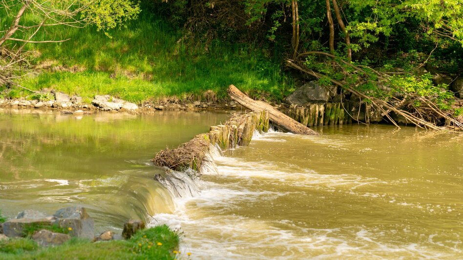 City Walking Raab Riverside Walk - Touren-Impression #2.3 | © Stadtgemeinde Feldbach