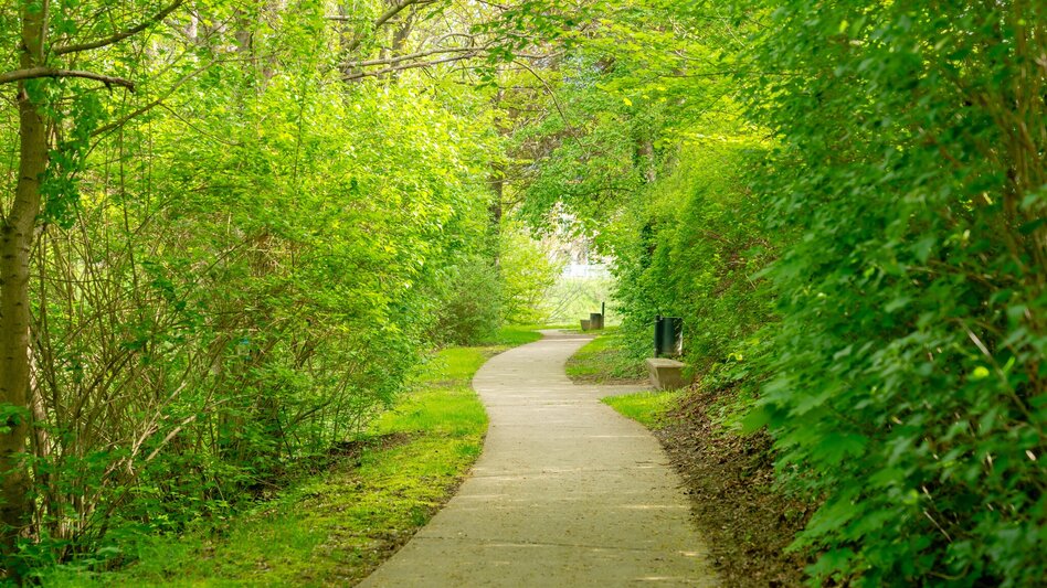 City Walking Raab Riverside Walk - Touren-Impression #2.6 | © Stadtgemeinde Feldbach