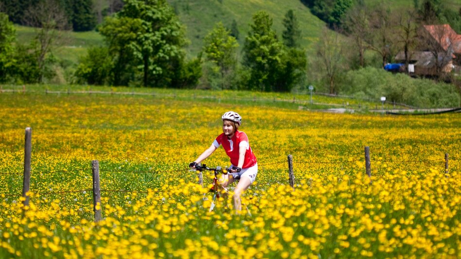 Bike Riding River Mur Cycle Trail ‒ From Steirerkas (Styrian cheese) to wine and pumpkin seed oil - Touren-Impression #2.5 | © Steiermark Tourismus/Tom Lamm