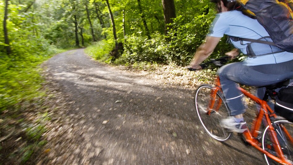 Bike Riding River Mur Cycle Trail ‒ From Steirerkas (Styrian cheese) to wine and pumpkin seed oil - Touren-Impression #2.9 | © Steiermark Tourismus/Gerhard Eisenschink