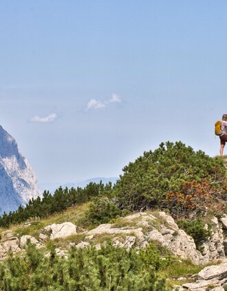 Lahnerleitenspitze, 2027 m | Weges OG | © Weges OG