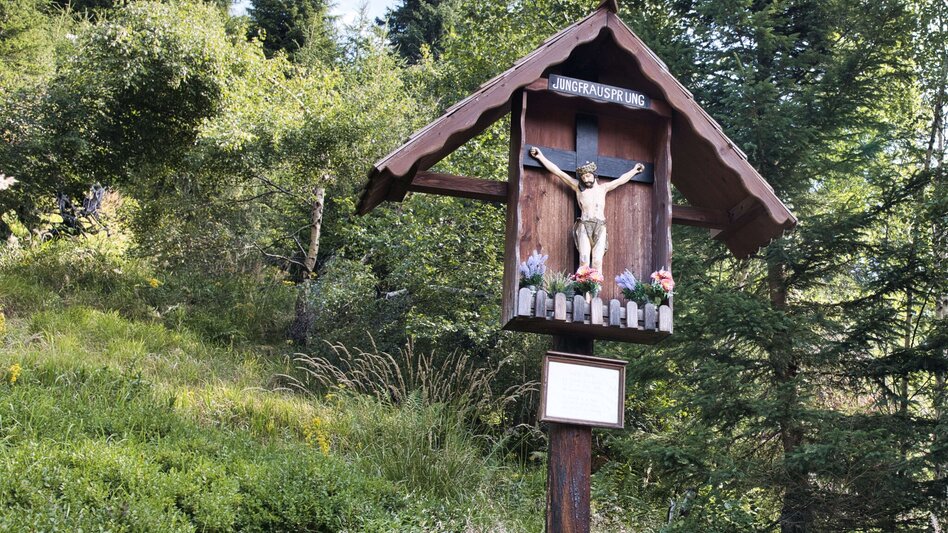 Bergtour Lahnerleitenspitze von Wald am Schoberpaß - Touren-Impression #2.2 | © Weges OG