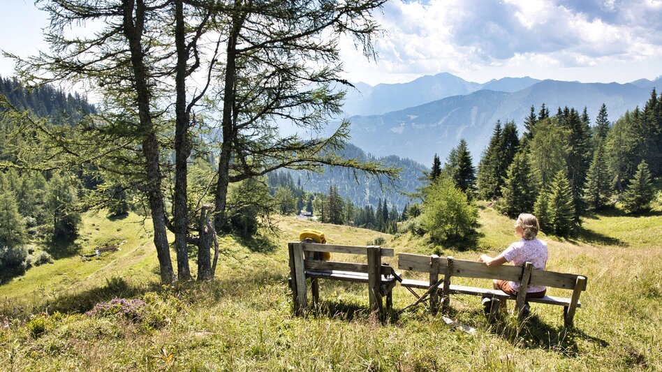 Bergtour Lahnerleitenspitze von Wald am Schoberpaß - Touren-Impression #2.4 | © Weges OG