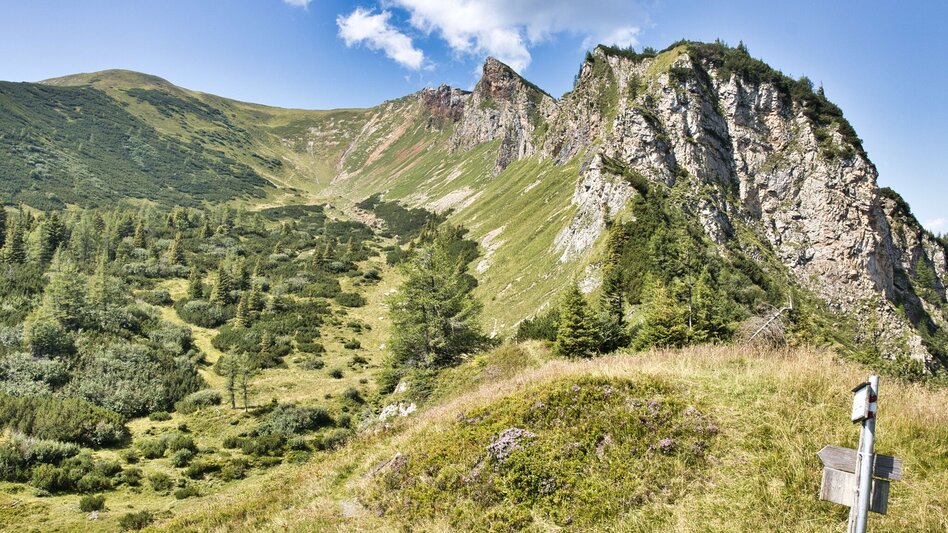 Bergtour Lahnerleitenspitze von Wald am Schoberpaß - Touren-Impression #2.5 | © Weges OG